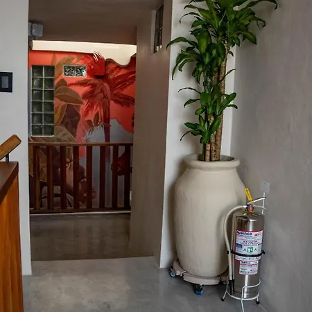 Casa Aria Luxury And Comfort In Zona Historico *