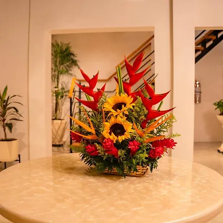 Casa Aria Luxury And Comfort In Zona Historico Villa *